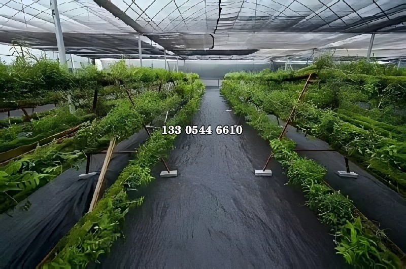 除草布